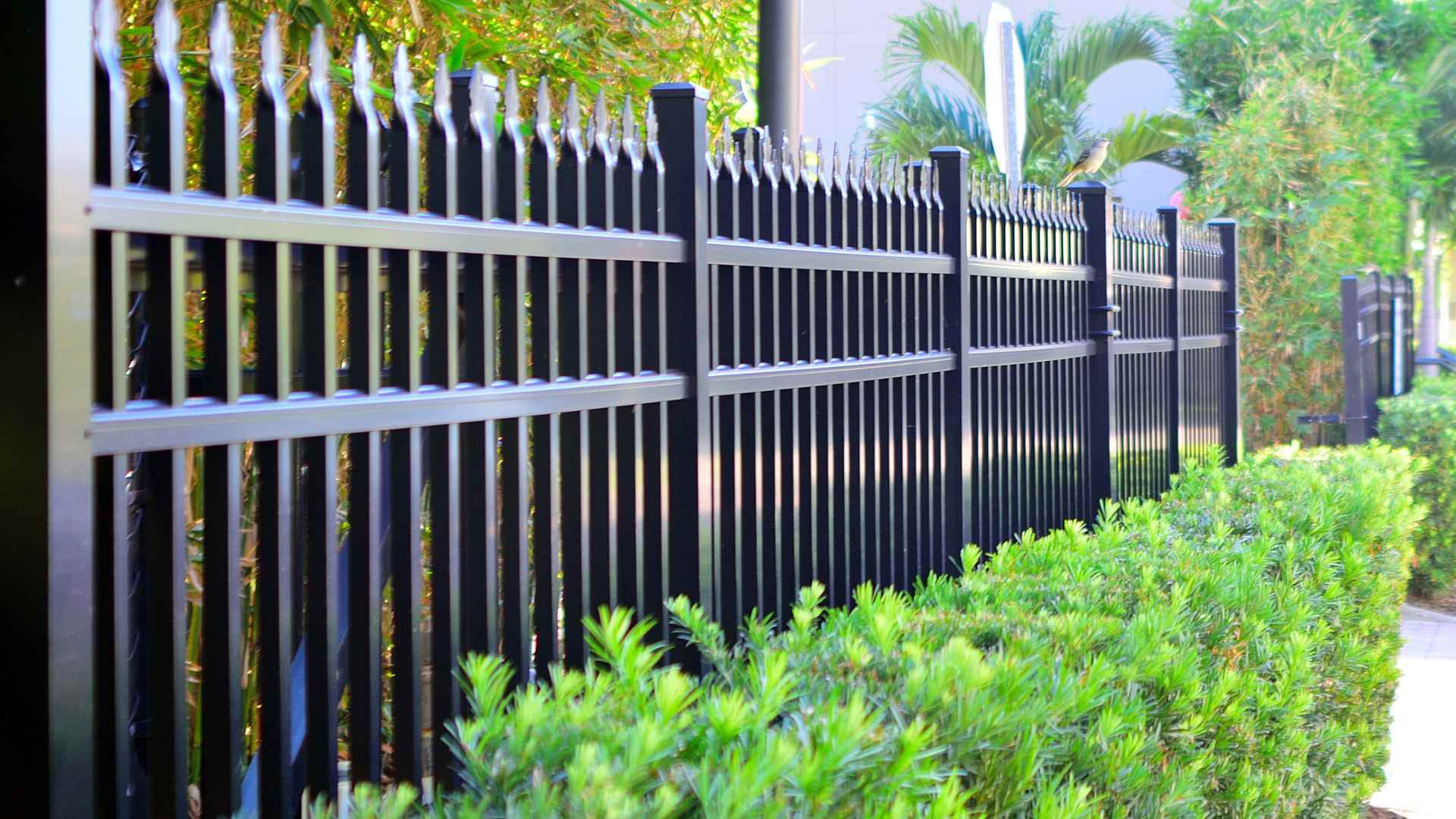 fencing services black fences outside